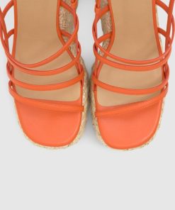 Pohaitao.shop04c5c759c2 4
