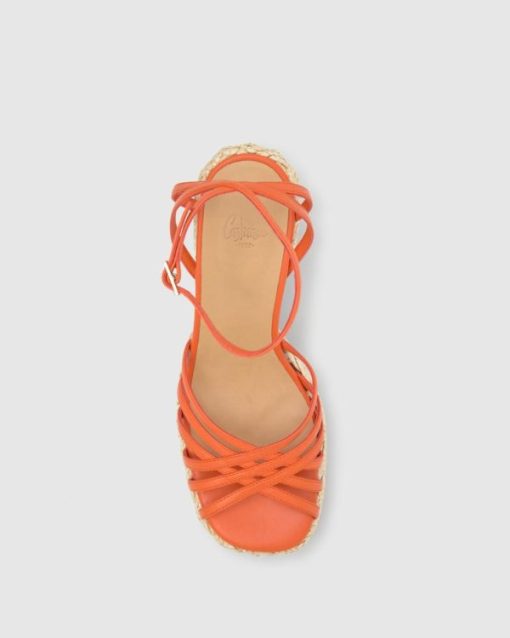 Pohaitao.shop622276a006 4