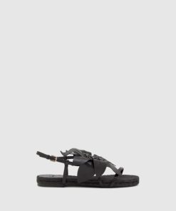 Pohaitao.shop90ce50deec 1