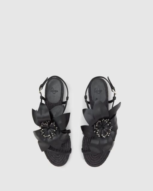 Pohaitao.shop90ce50deec 5